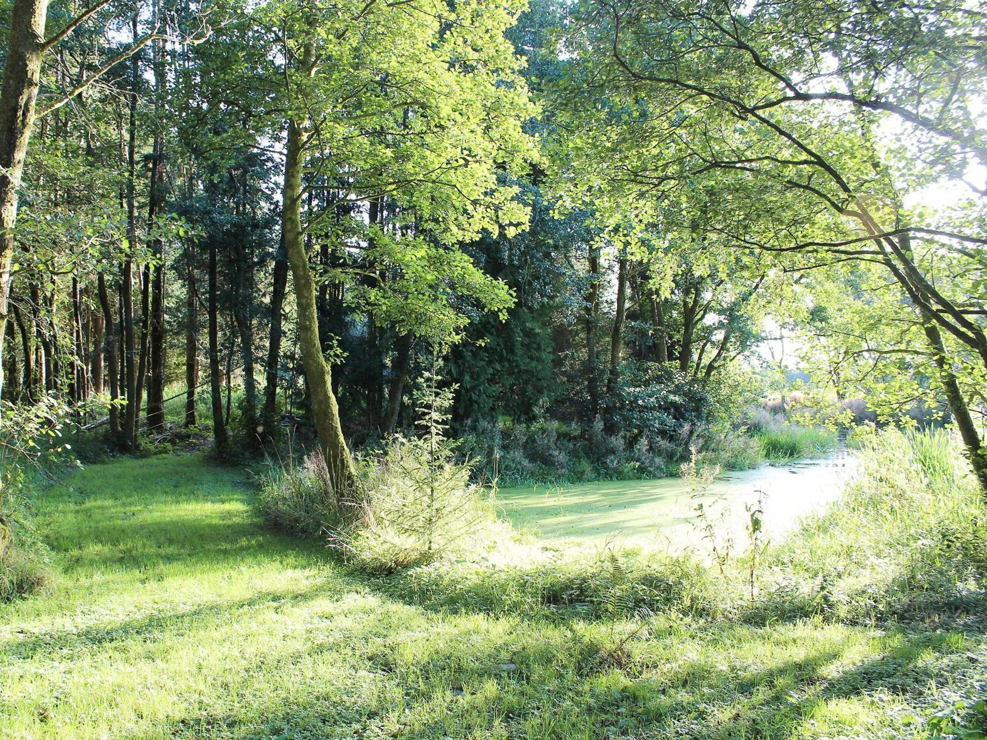 Wren Cottage Llandeilo Ngoại thất bức ảnh